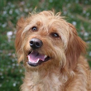 Meet your Posher, Kannyn